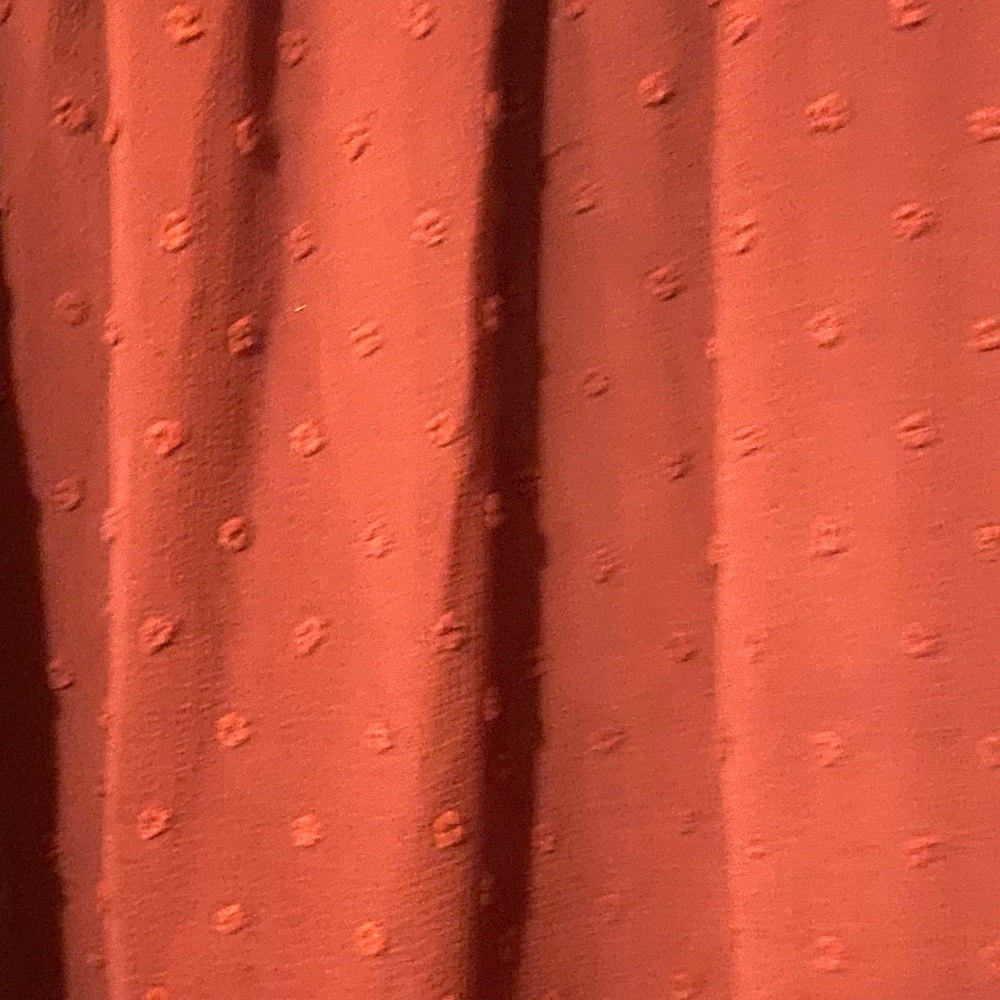 Chic Rust Ruffle Sleeve Blouse - Picture 5 of 5